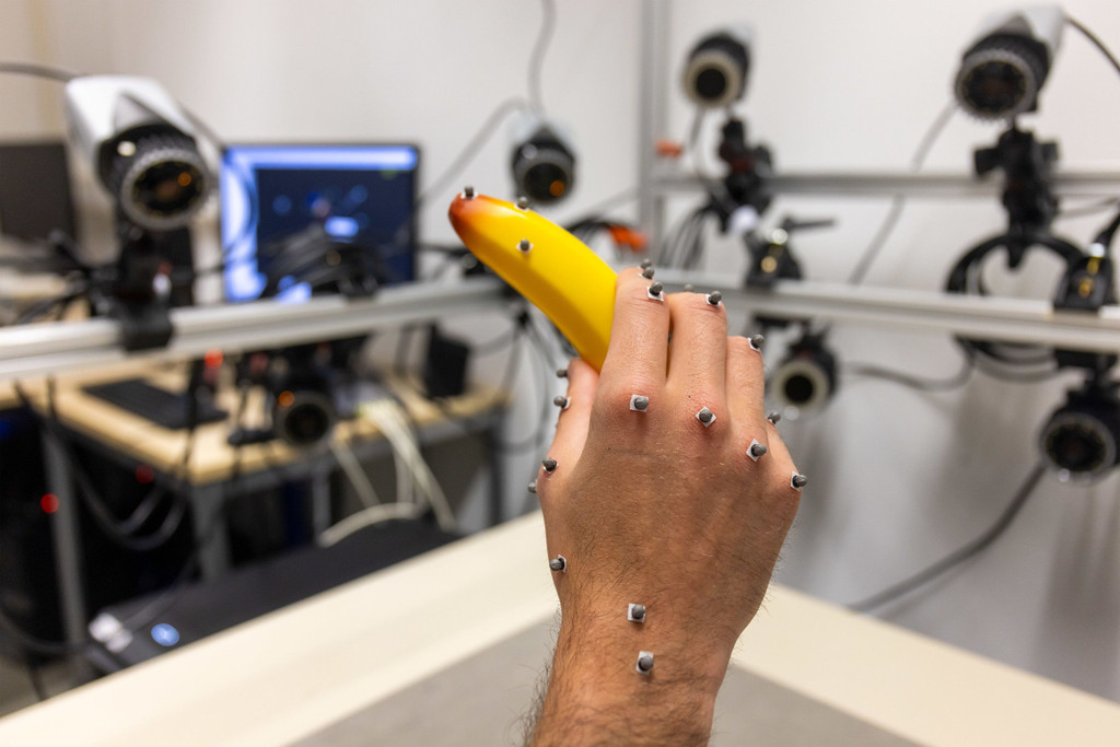 Exzellenzcluster an der Justus-Liebig-Universität Gießen