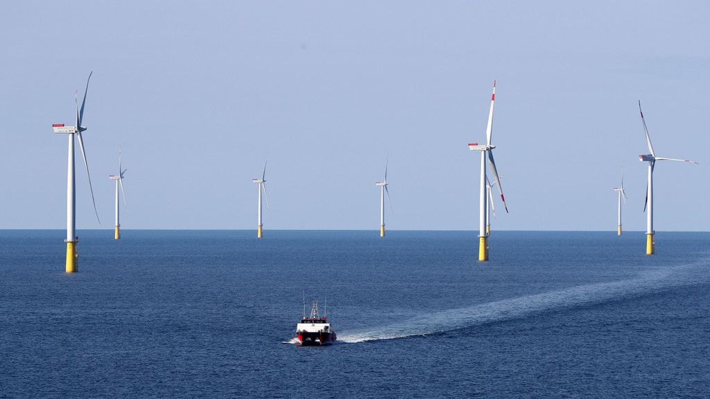 Vattenfall-Deutschlandchef