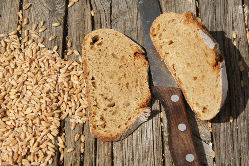 Triticum spelta, Dinkel, spelt