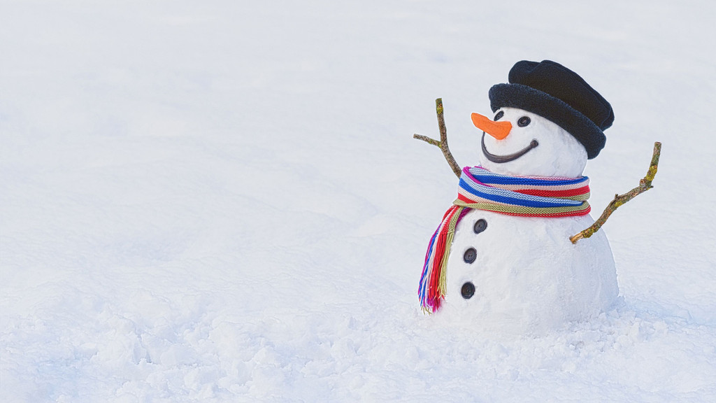 Toyota Vorklimatisierung