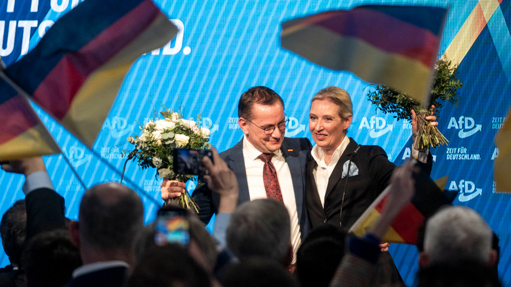 Höhenflug in Umfragen