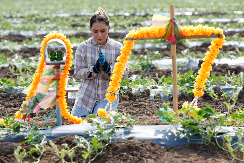 Die Anwälte des Globalen Südens verzocken sich