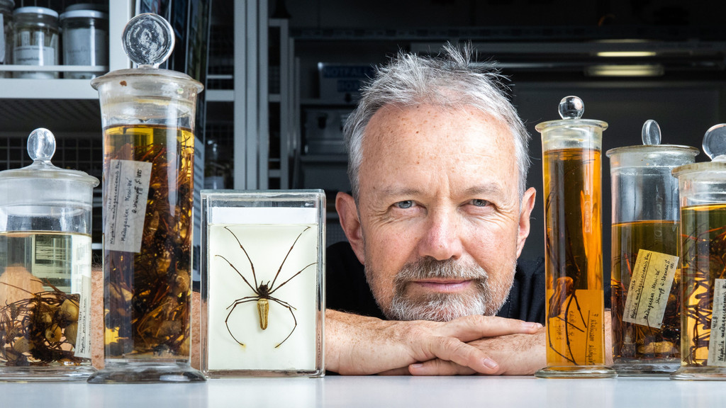„Die Nosferatu-Spinne sollten wir willkommen heißen“