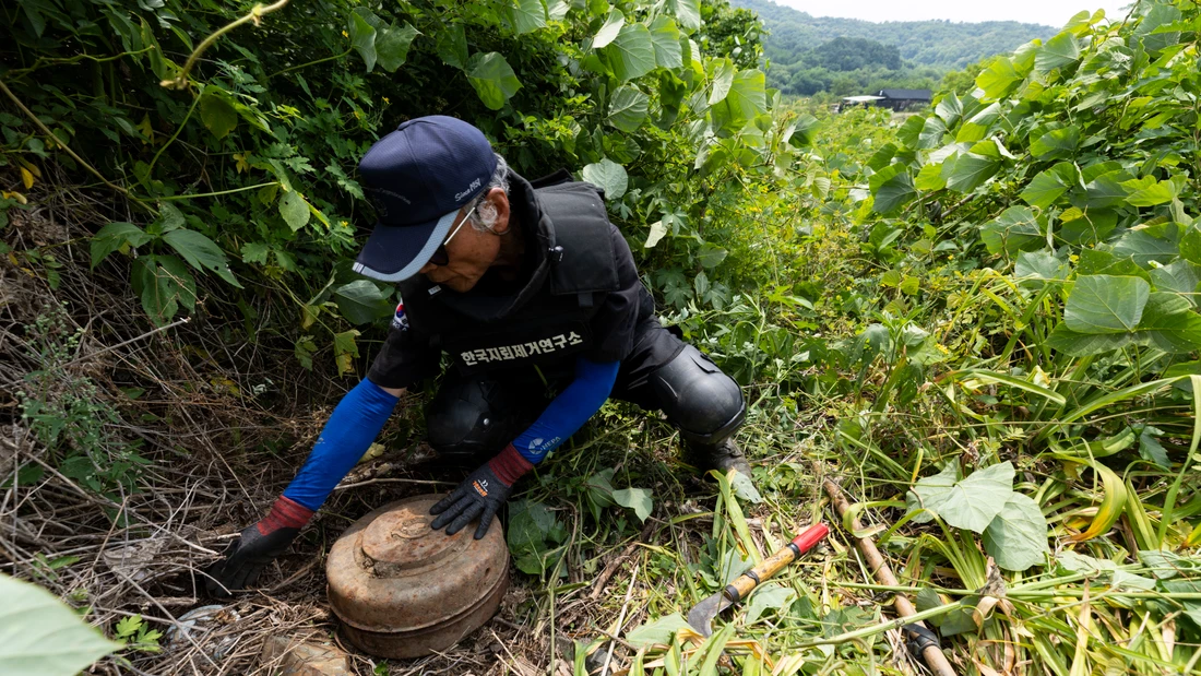 Der Chef des südkoreanischen Instituts für Minenräumung Kim Ki-ho am 17. Juni 2026 auf der Suche nach Landminen in der Demilitarisierten Zone