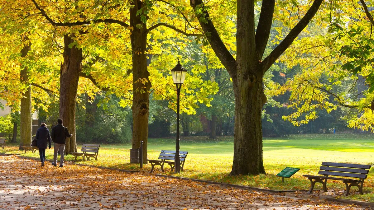 Der entspannte Herbstspaziergang fällt dem österreichischen Rentner leichter.