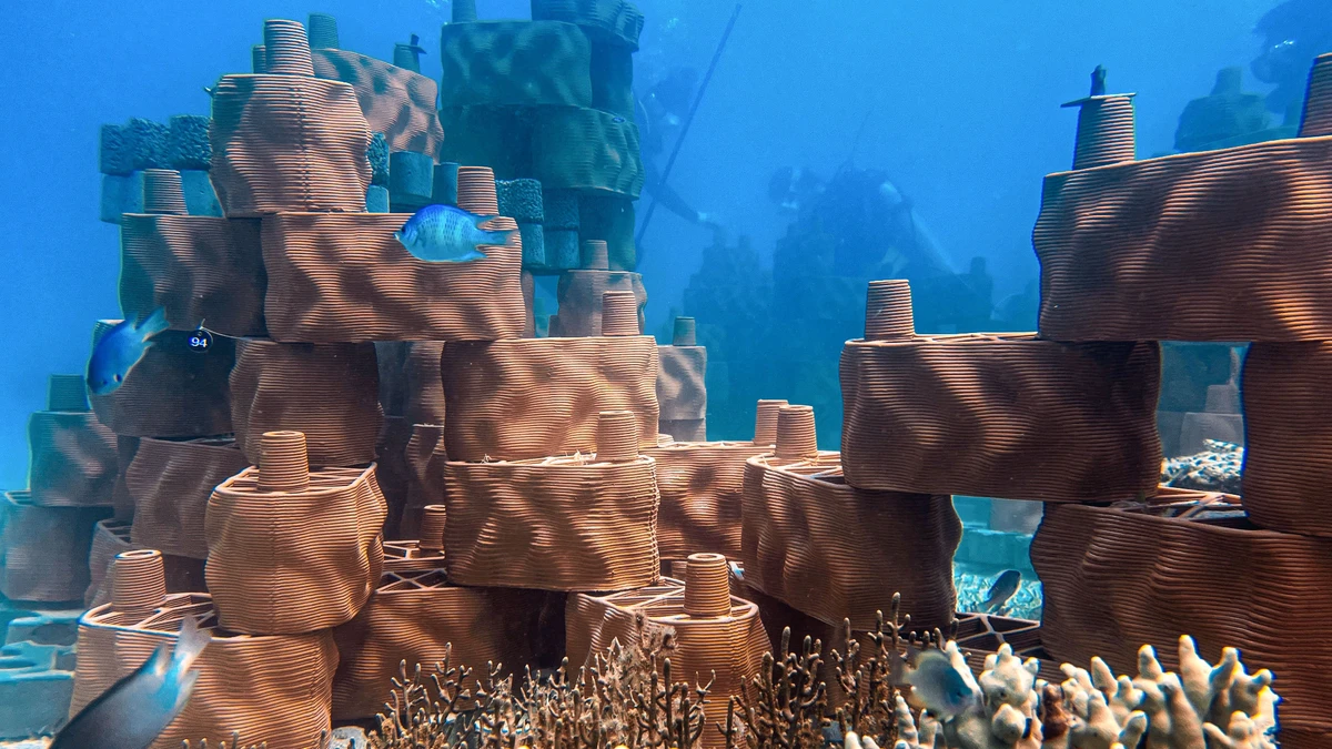 Durch Tonstrukturen lässt sich das Ökosystem schützen – wie hier in Pujada Bay in den Philippinen.