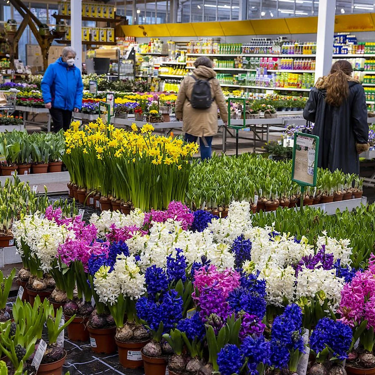 Grn ist die Hoffnung: Dehner-Gartencenter wieder geffnet | FAZ
