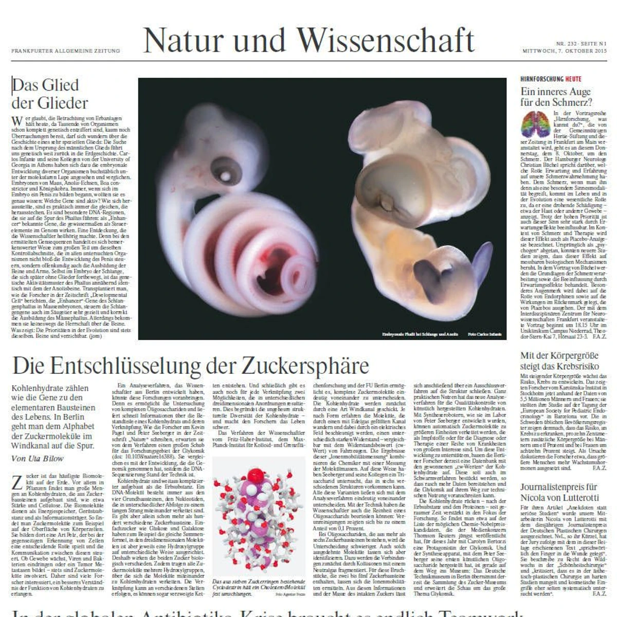 Heute in der Zeitung: Zucker im Windkanal | FAZ