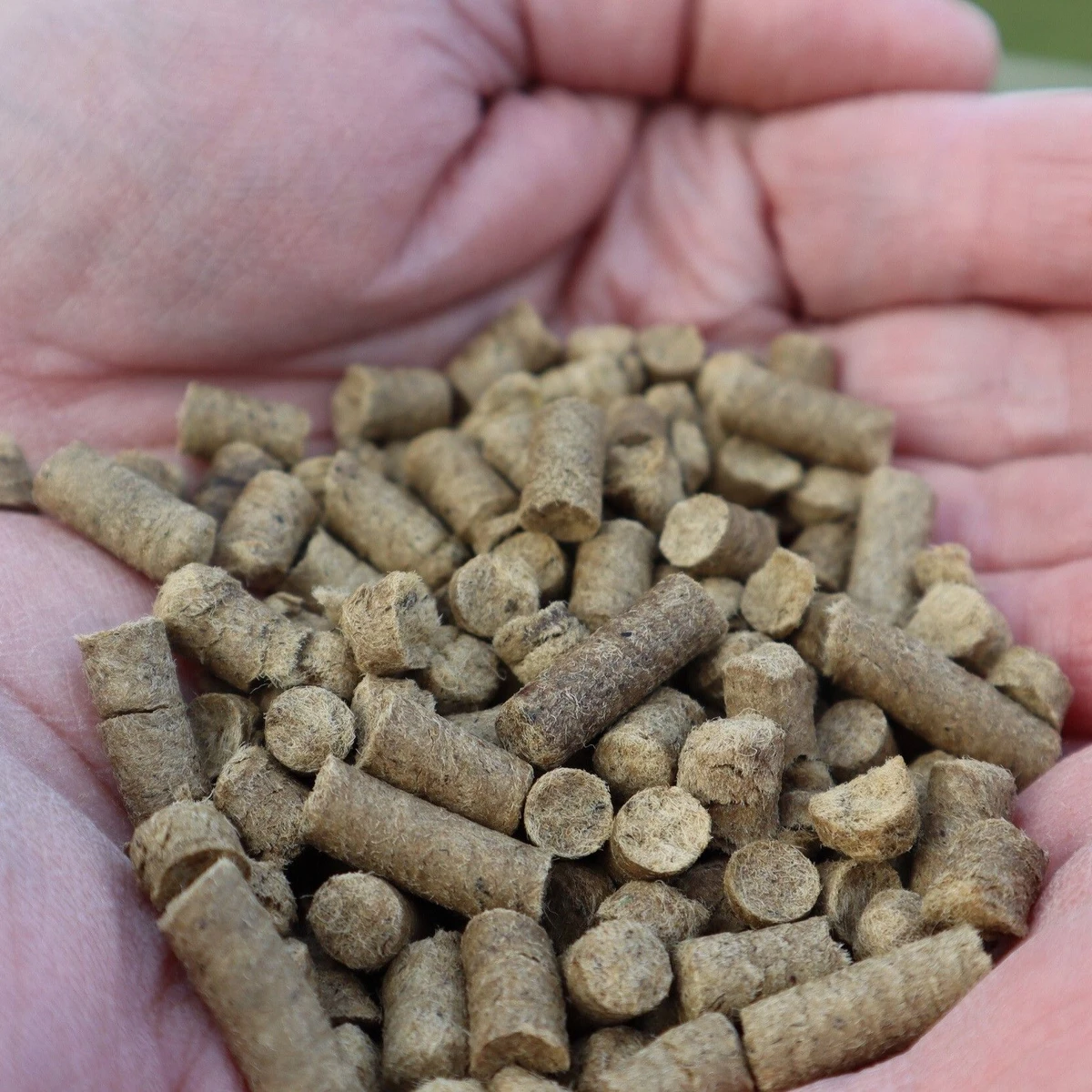 Dngen mit Pellets aus Schafwolle statt Knstdnger | FAZ