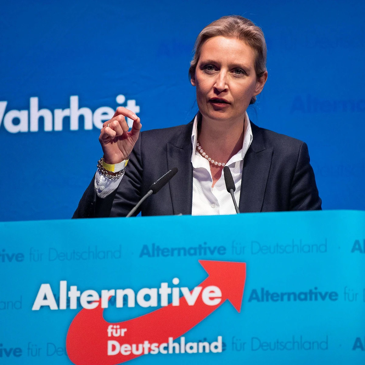 Baden-Wrttemberg: Weidel zur neuen AfD-Landesvorsitzenden gewhlt | FAZ