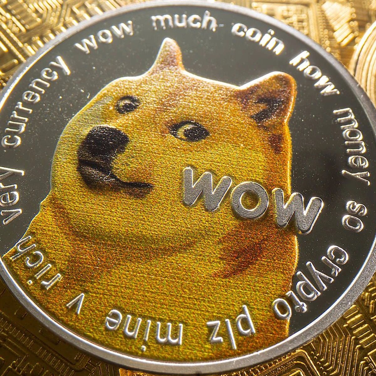 Kryptowährungen wie Dogecoin steigen rasant: Lohnt es sich? | FAZ