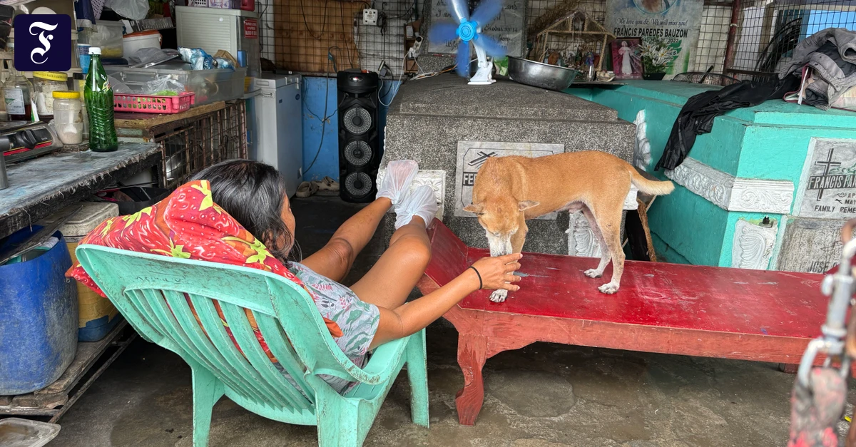 Philippinen: „Komm, Bro, ich zeige dir den lebendigsten Friedhof der Welt“