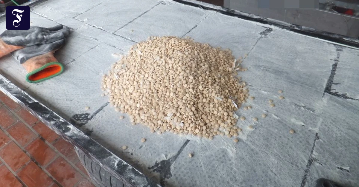 Hund-findet-Amphetamine-Vergiftetes-Kleinkind-f-hrt-Polizei-zu-Drogenversteck