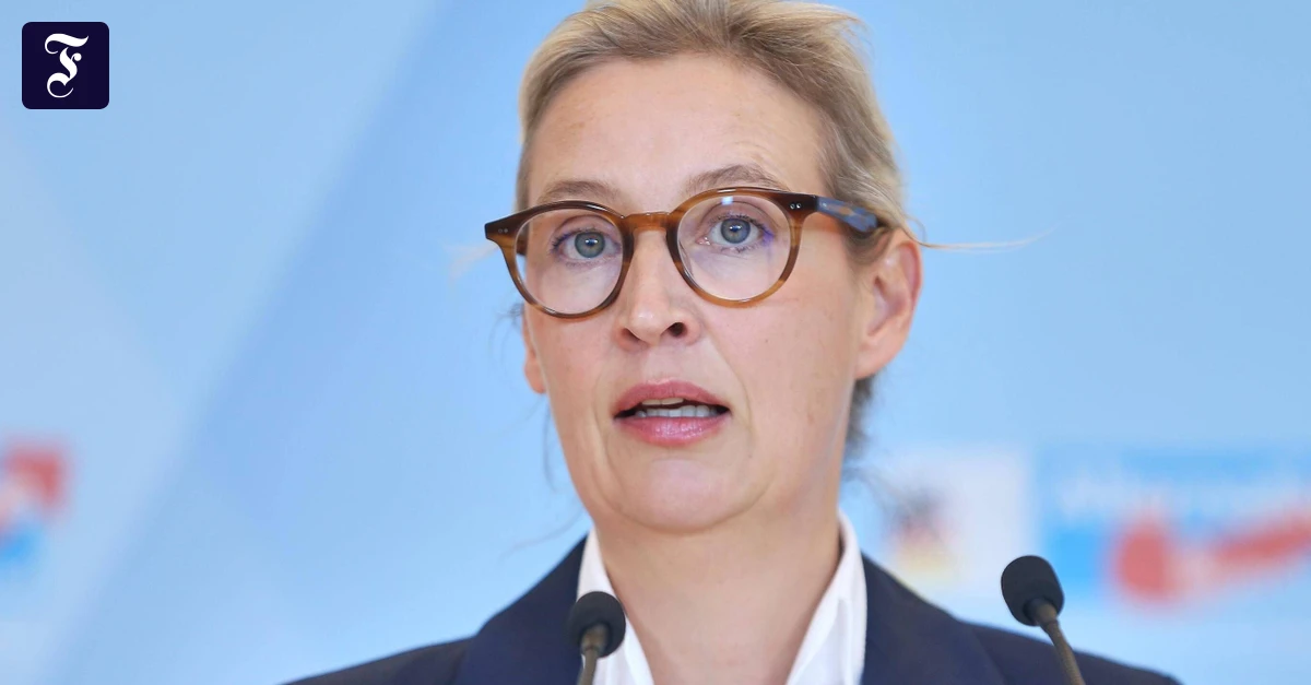 Springer-und-die-AfD-Alles-auf-Alice