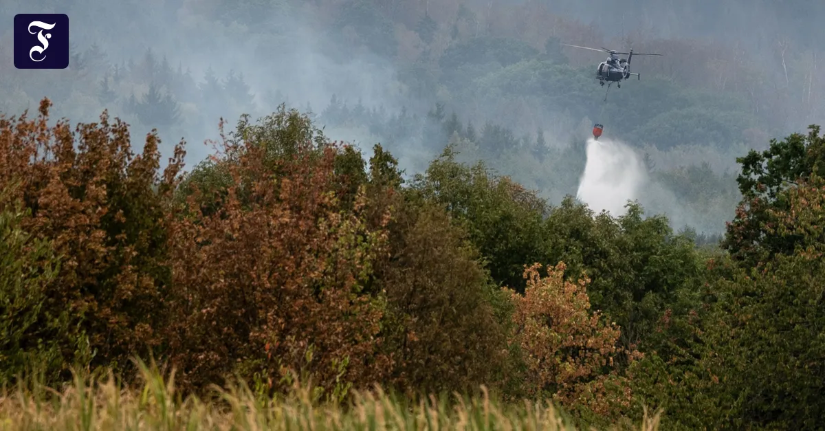 Waldbrand in der Eifel: 