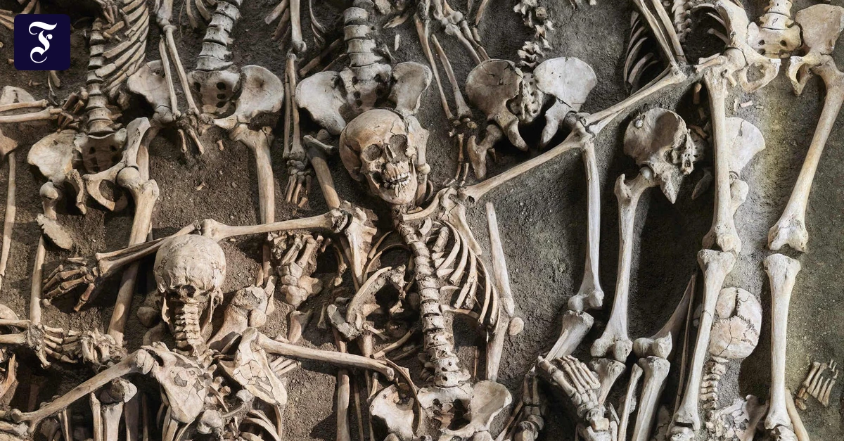 Interview-mit-Arch-ologen-Wir-sind-nicht-zum-Krieg-verdammt-