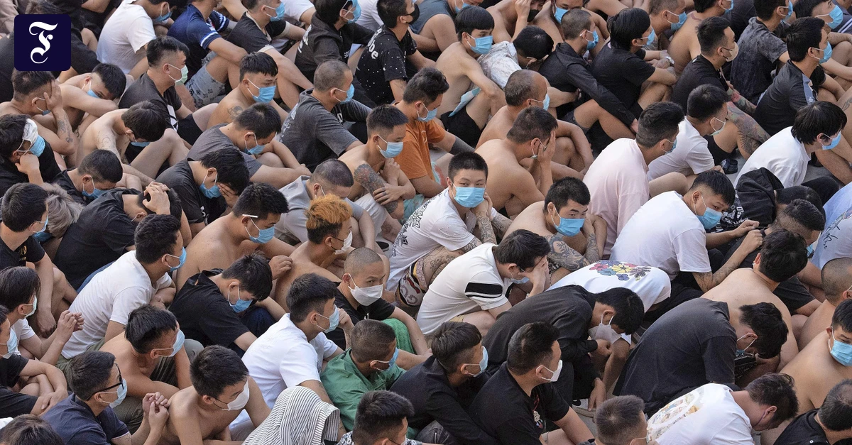 Onlinebetrug: Wie Sie aus asiatischen Sklavencamps abgezockt werden