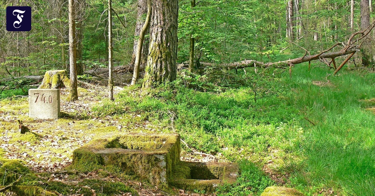 Hike in the Spessart: 70 kilometers of unfinished highway in the forest