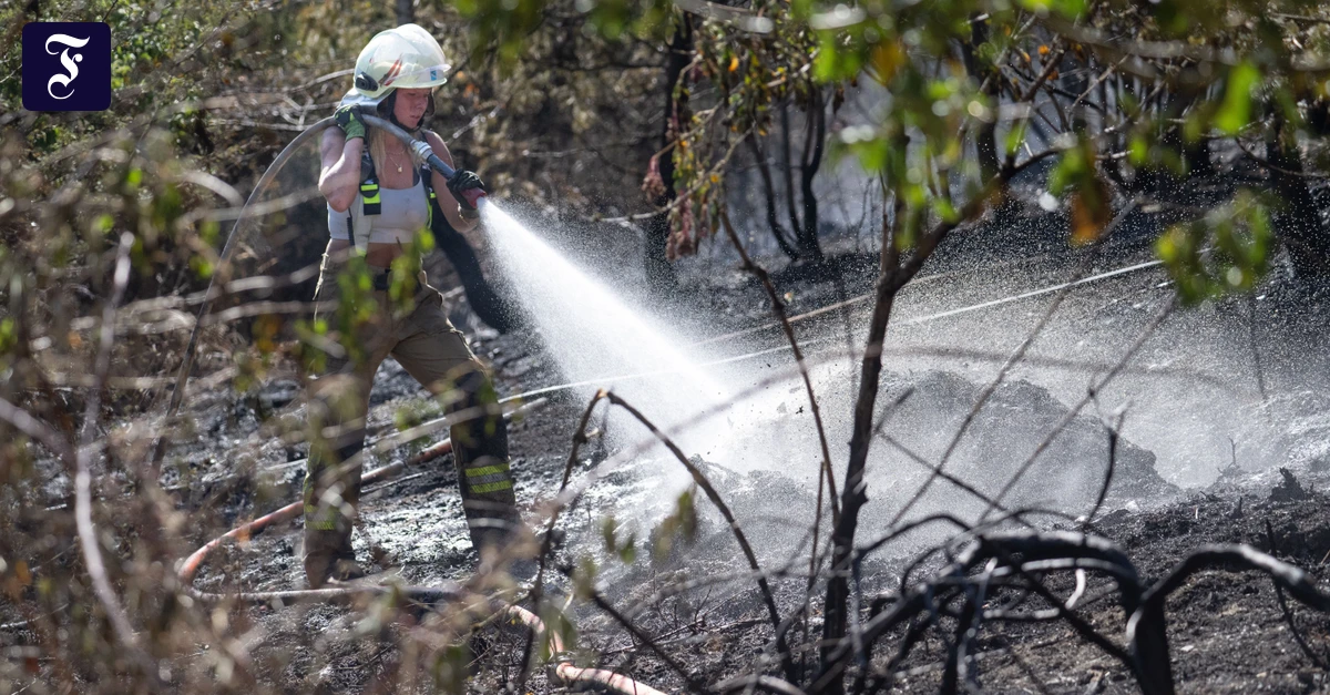 Wertschätzung für Freiwillige: Mit Feuer und Flamme