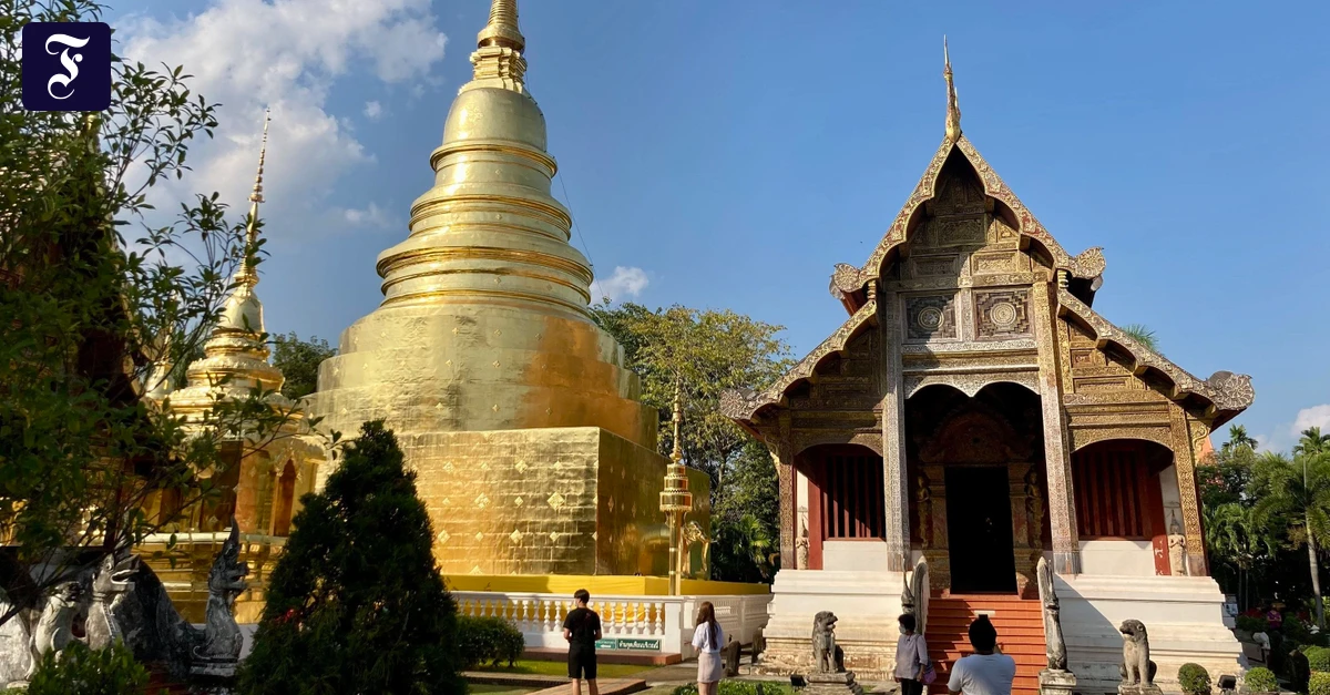 kurz-vor-ein-scherung-totgeglaubte-in-thailand-lebend-im-sarg-entdeckt