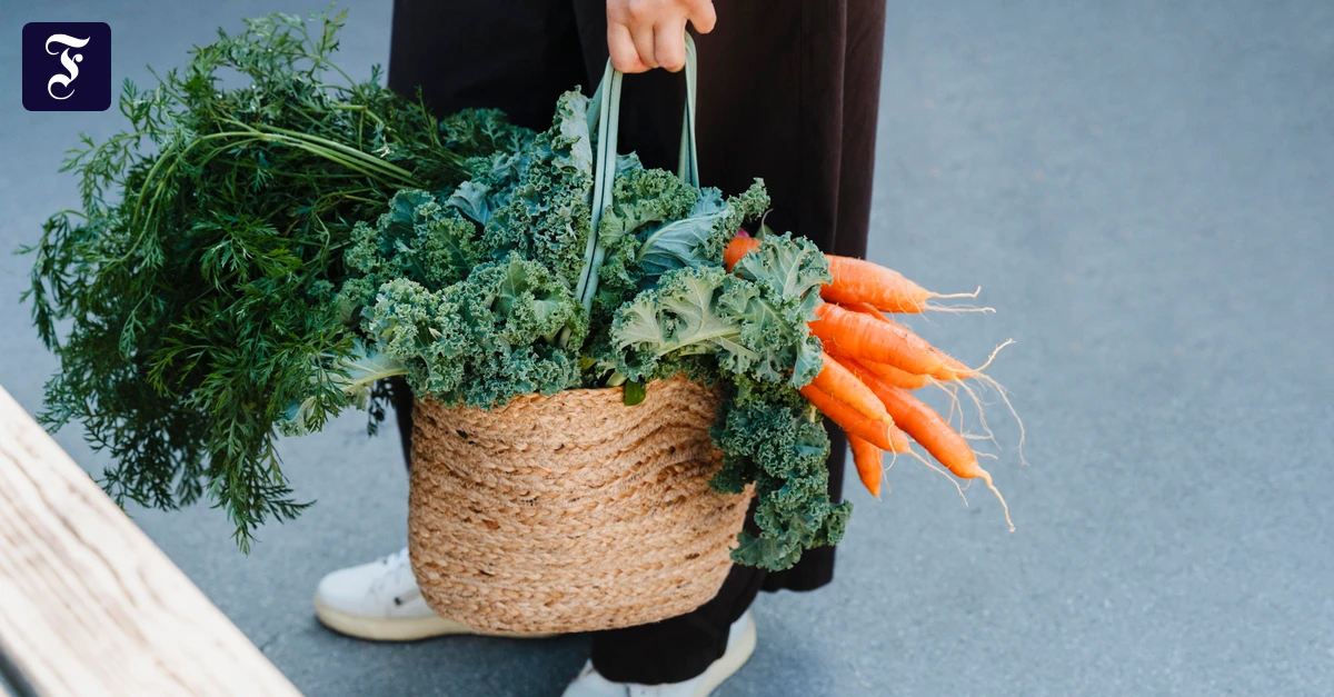 gehypt-als-superfood-so-gesund-ist-gr-nkohl-wirklich