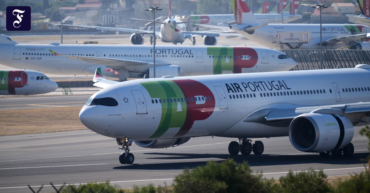 Lufthansa takes over TAP: Germany beats Air France-KLM