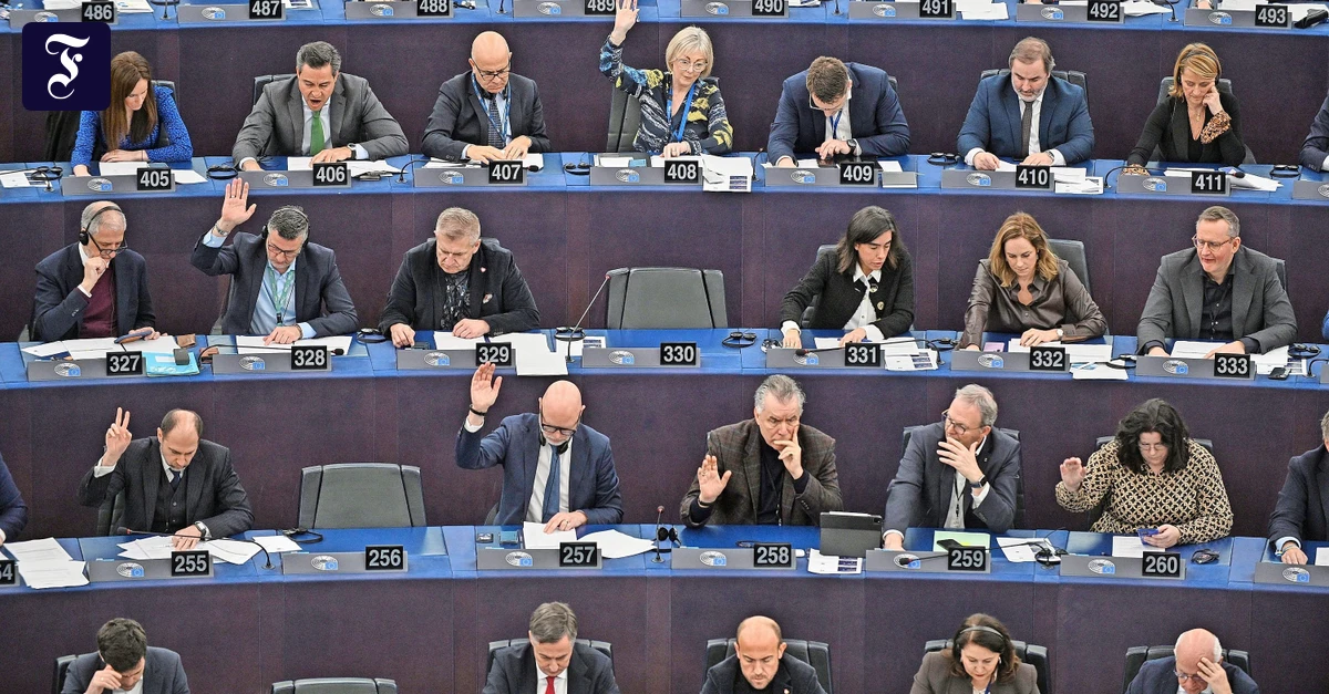 Votum-zu-Mercosur-Beihilfe-zum-Brandmauerbruch