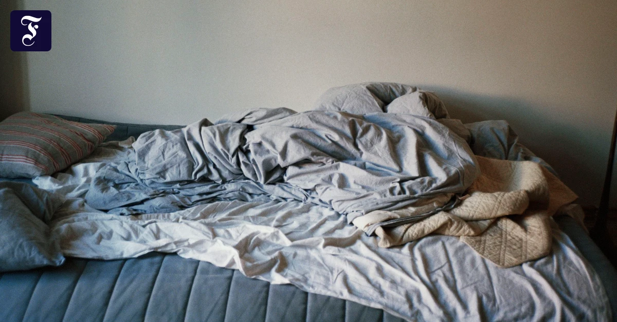 Bericht-einer-Betroffenen-Wie-Bettwanzen-mein-Leben-zur-H-lle-machen