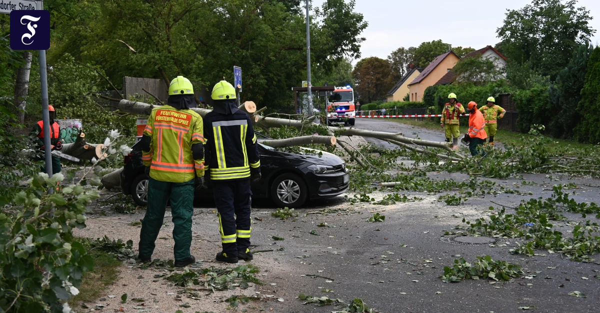 Unwetter in Deutschland: DWD bestätigt Tornado in Brandenburg