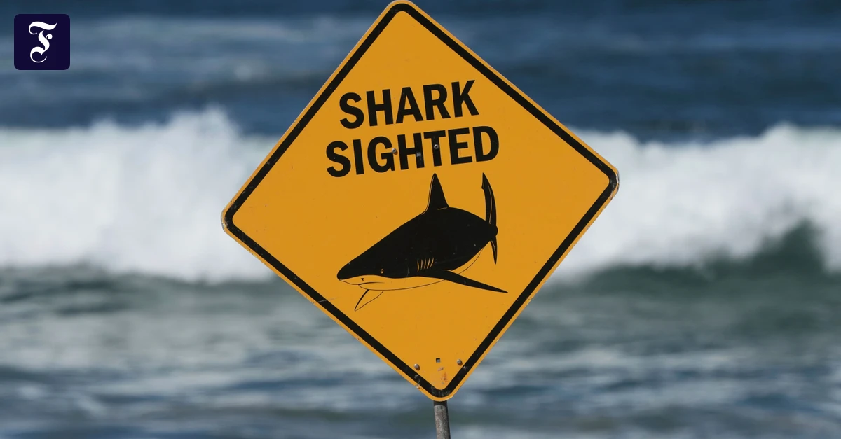 Shark attack in Australia: Surfer killed