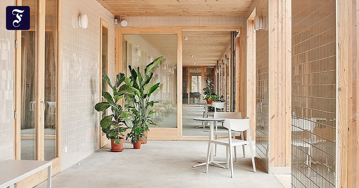 Bauten-in-M-nchen-und-Barcelona-So-soll-Obdachlosen-Obdach-geboten-werden