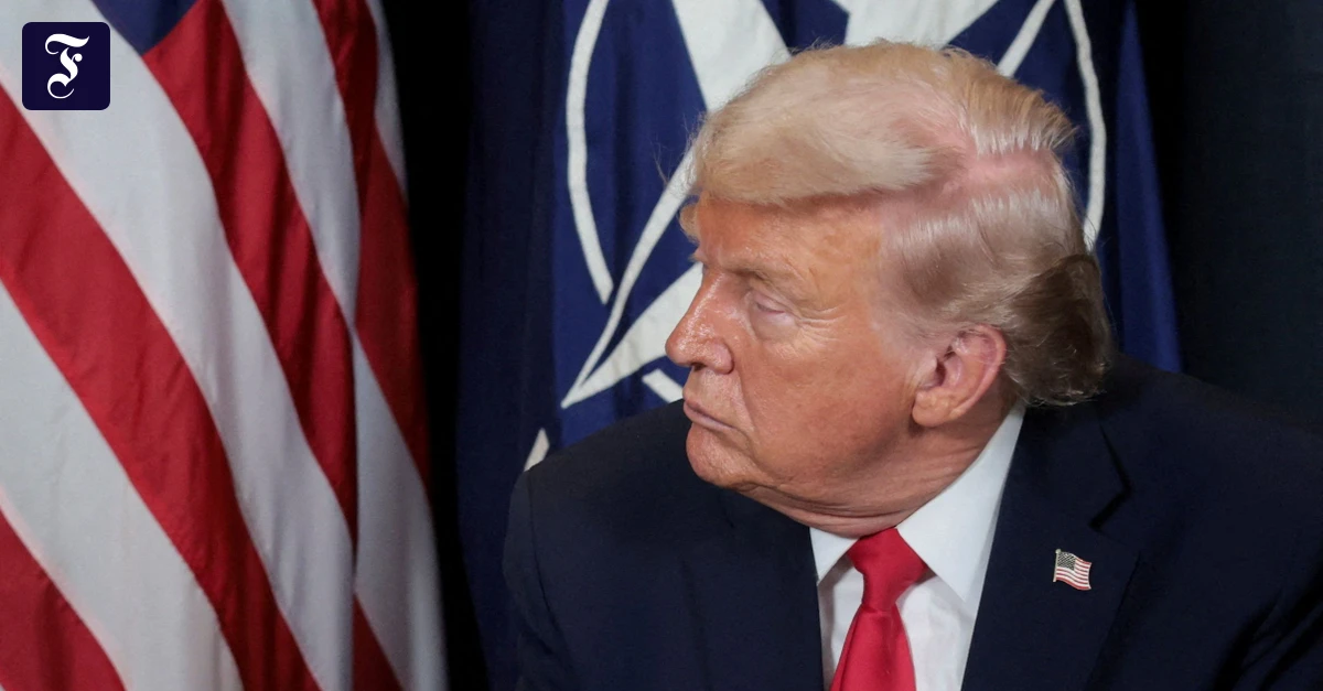 Streit über den Irankrieg: Kann Trump aus der NATO austreten?