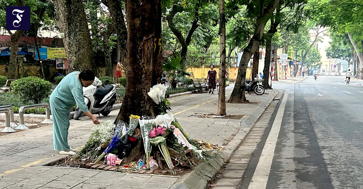 Protest in Vietnam: Aus Baum Nummer 55 wurde der „Baum der Gerechtigkeit“