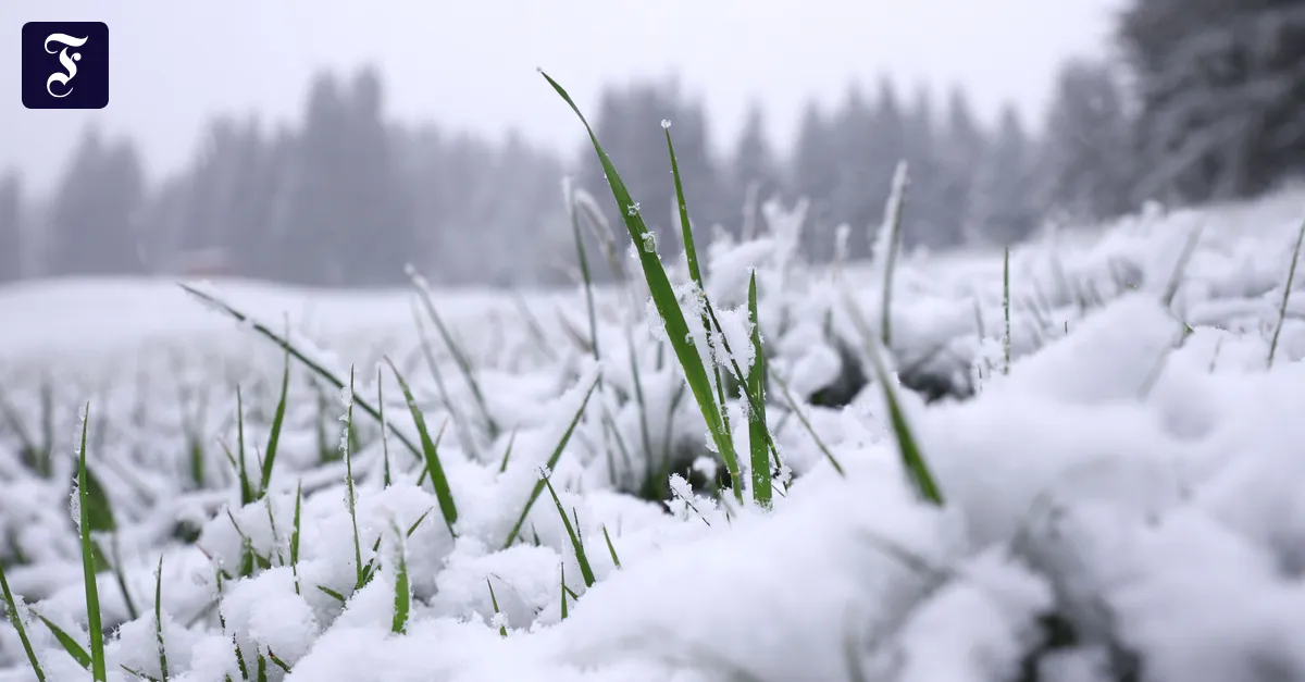 Ice Saints 2026: Snow in the Mountains