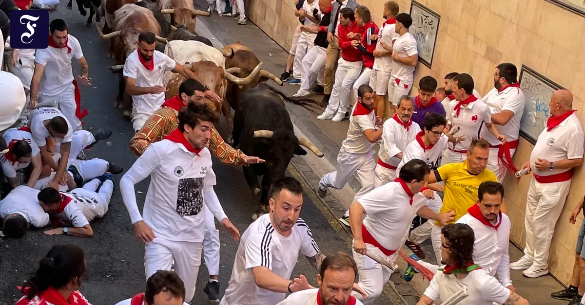 Stierlauf-in-Pamplona-Wenn-die-schwarze-Walze-durch-die-Gasse-donnert