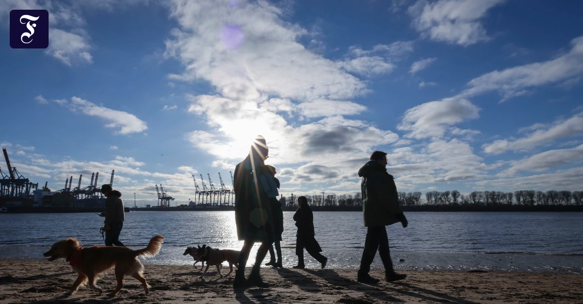 Prinzip des Nudging: Gutes Leben leicht gemacht