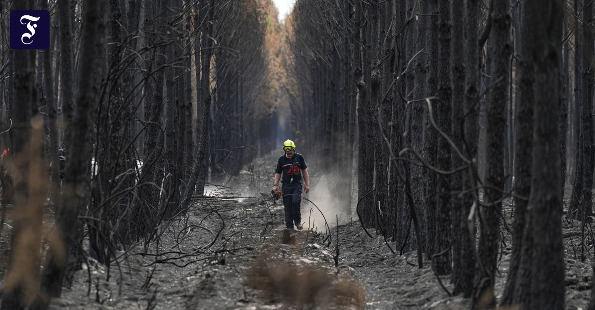 Feuerwehrmann durch verkohlten Wald in Frankreich, während Waldbrände stattfinden