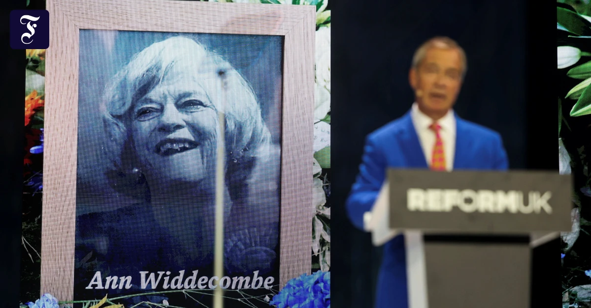 Nigel Farage Terror Plot: Ann Widdecombe Murder Suspect Faces New Charges