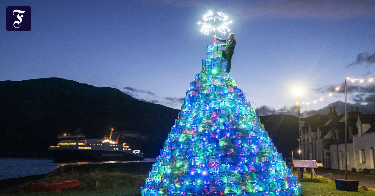 H-ssliche-Weihnachtsb-ume-Der-Baum-darf-bleiben