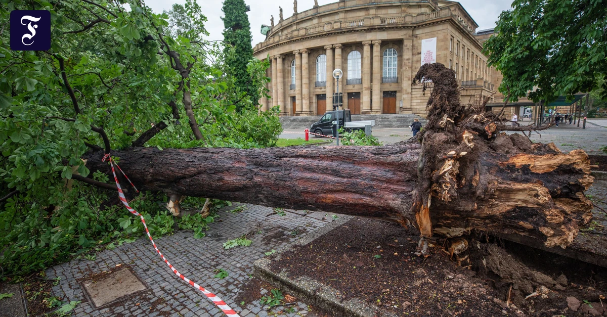Zukunft der Oper: Oper muss Stadtgespräch sein!