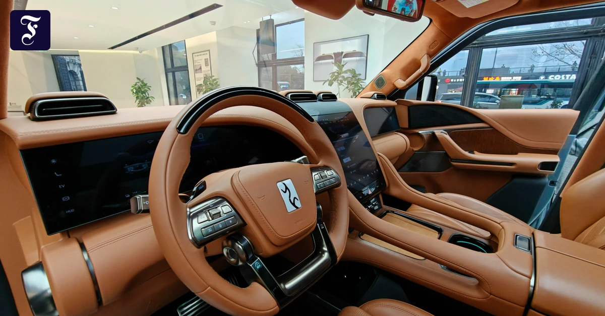 Elektroautos-2025-Ein-Wechsel-an-der-Spitze-und-eine-neue-Nummer-3