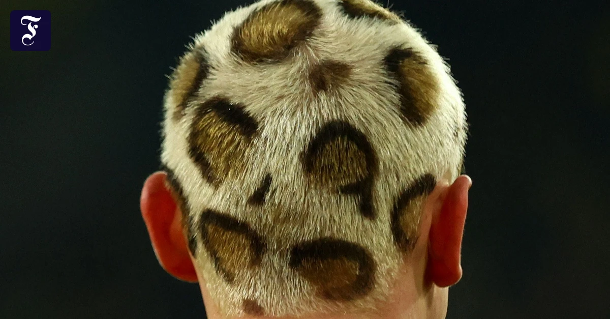 Leo-Look-im-Fussball-Das-Raubtier-im-Haar