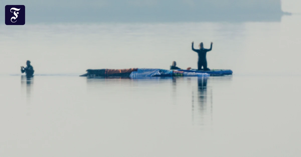 Gestrandeter Wal: Die Walrettung wird zur Wohlfühlshow fürs gute Gewissen