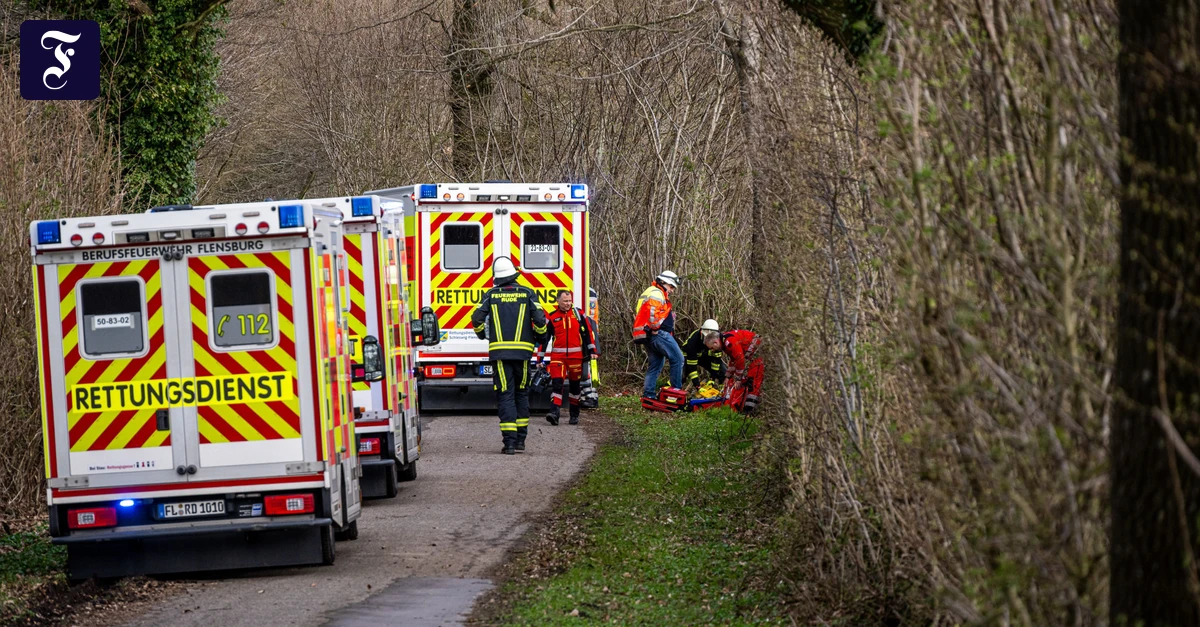 Wald bei Flensburg: Baum stürzt bei Ostereiersuche um – drei Tote