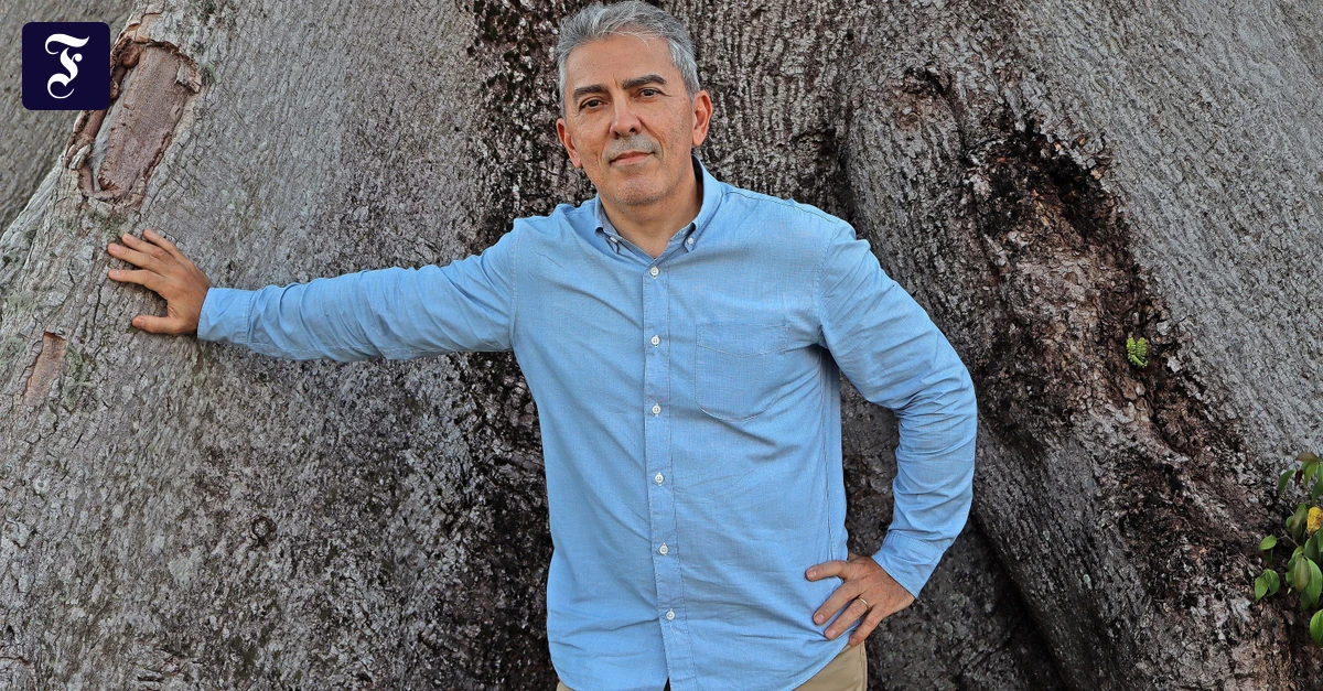 Klimagipfel Cop30: „Die Delphine wurden von den hohen Temperaturen gekocht“