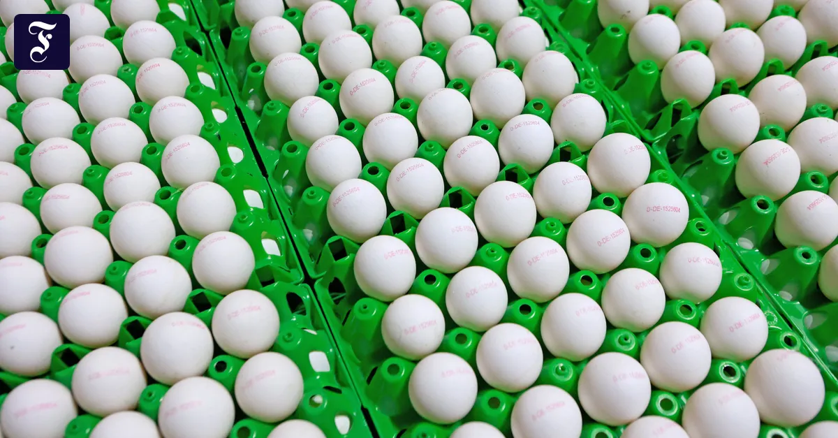 Buchszweige, weiße Eier, Kräuter: Was an Ostern plötzlich Mangelware ...