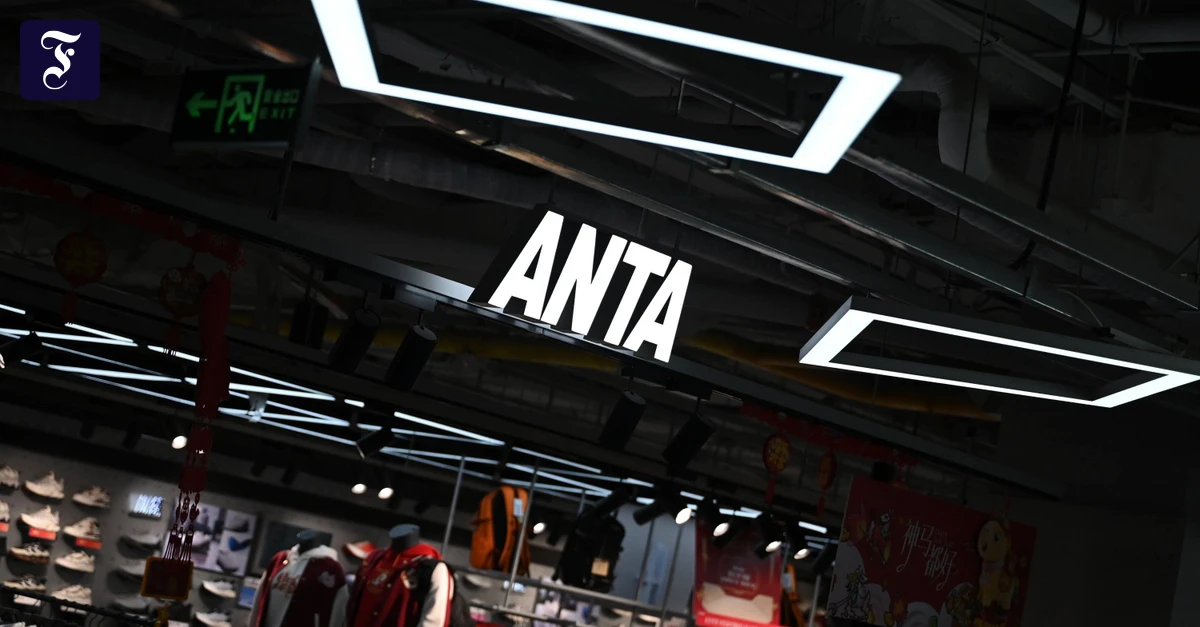 -bernahmen-in-Deutschland-Chinas-gro-er-Puma-Sprung