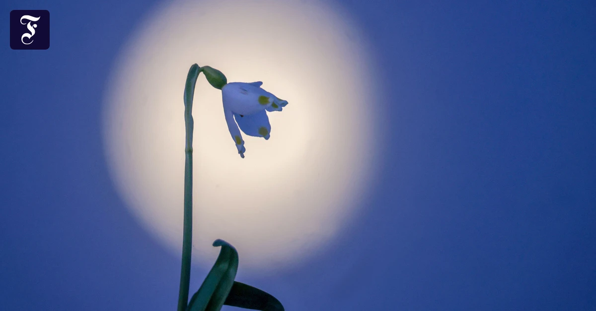 Das erwartet uns im Mai: Doppelter Vollmond und vielleicht eine Prämie