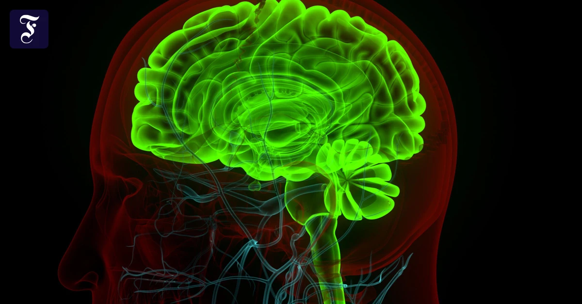 Entgiftung-von-Zellen-Wie-ein-Protein-Parkinson-ausl-sen-k-nnte