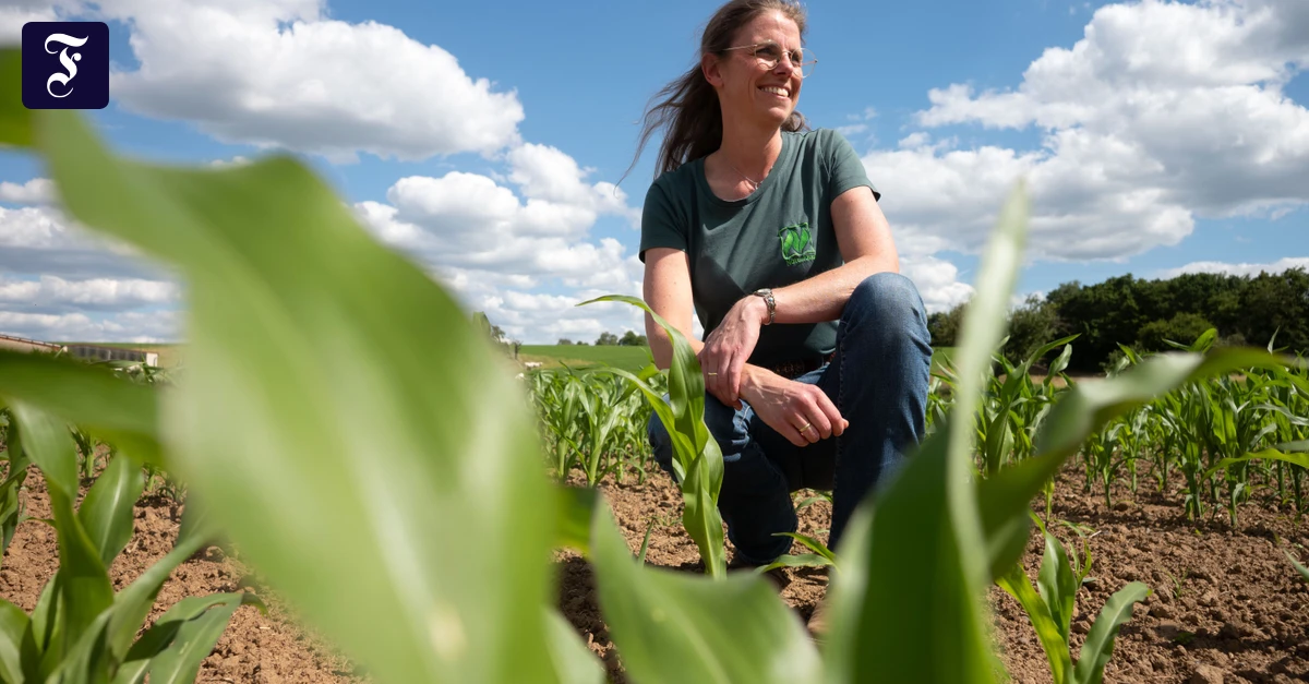 Landwirtin-gewinnt-Preis-Damit-die-Umstellung-auf-bio-gelingt